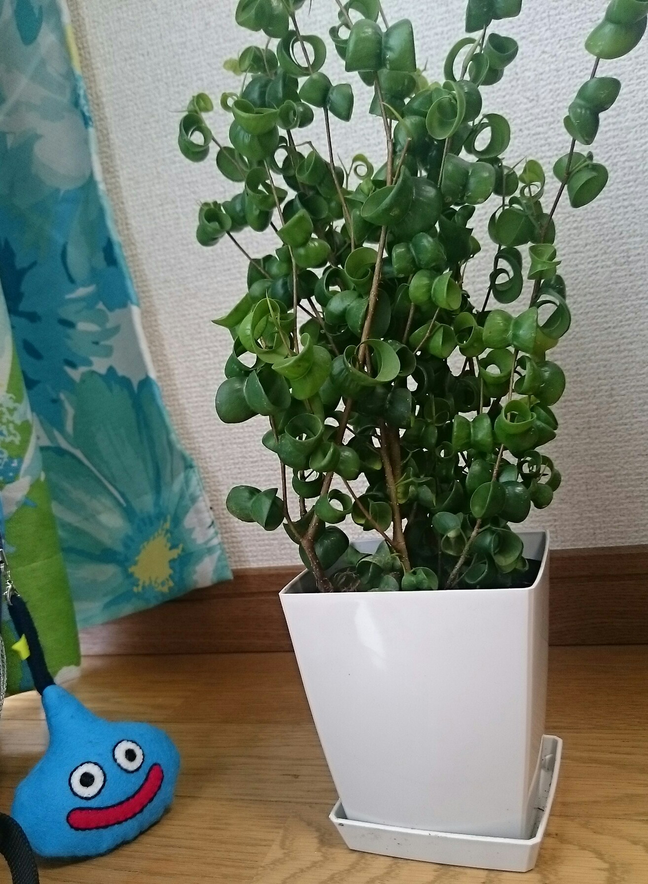 ベンジャミン・バロック
