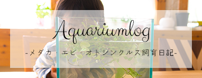 Aquariumlog