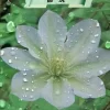 都筑