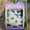 ジェームス・メイスン
