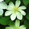 月宮殿