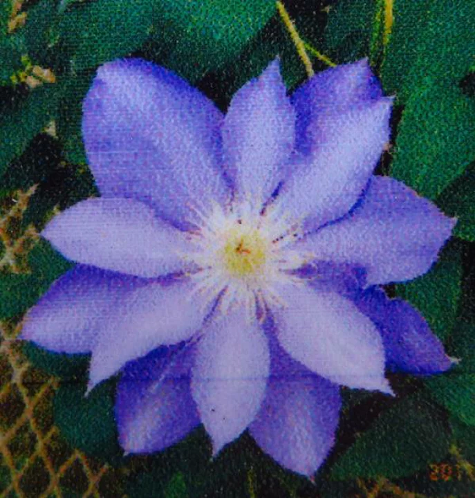 ブルー・スカイ