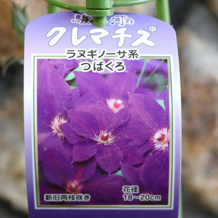 つばくろ