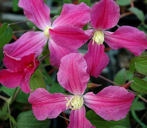 インスピレーション