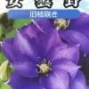 安曇野