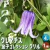 クリル