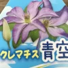 青空