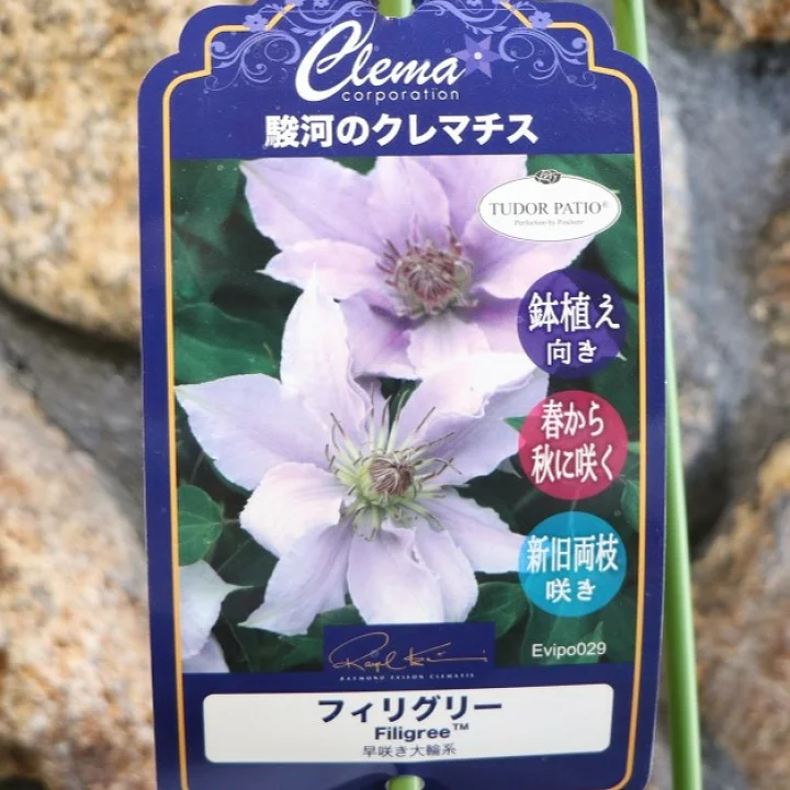 フィリグリー