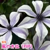 風の方位