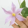スイート・ハート