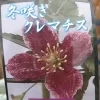 ランダン・ジム