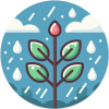 梅雨時期
